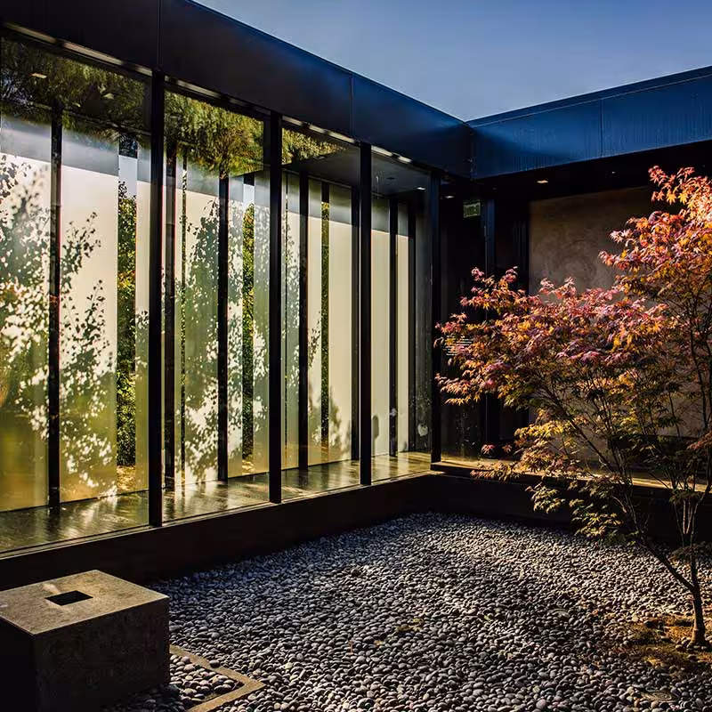 indoor garden designed in London
