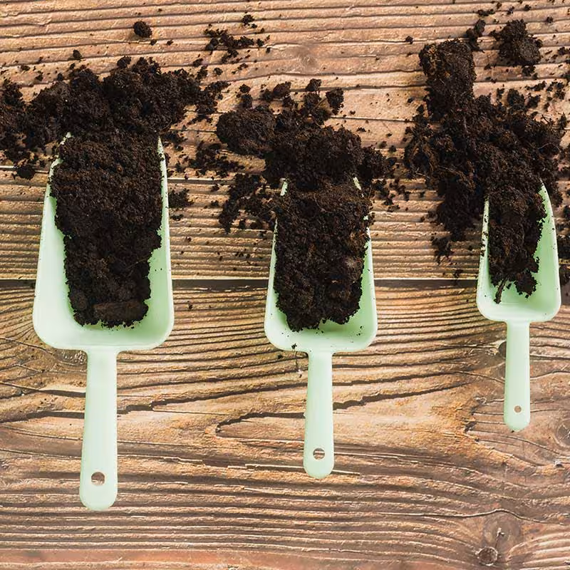 three soil samples on a wooden table