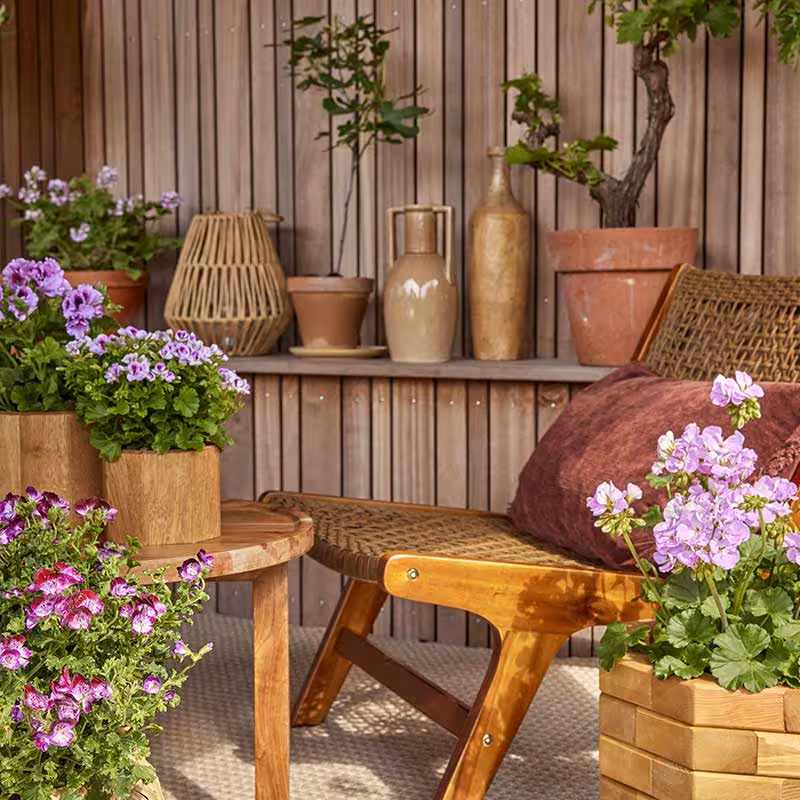 rustic garden room with wooden walls