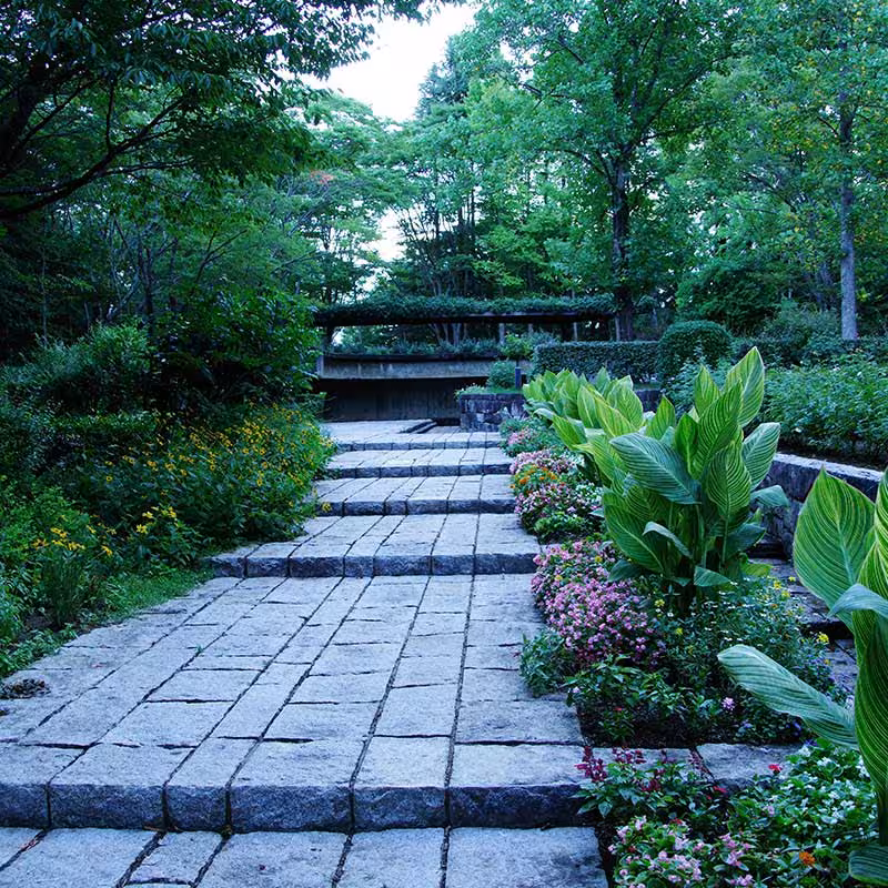 paved alleyway with plants around it