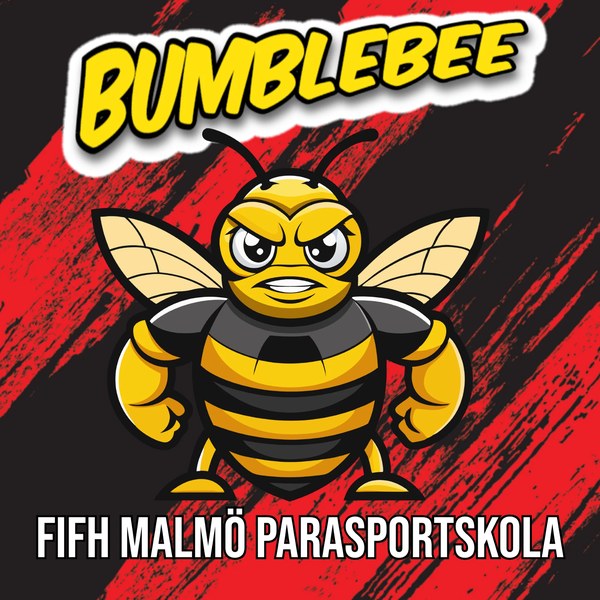 Parasportskolan Bumblebee