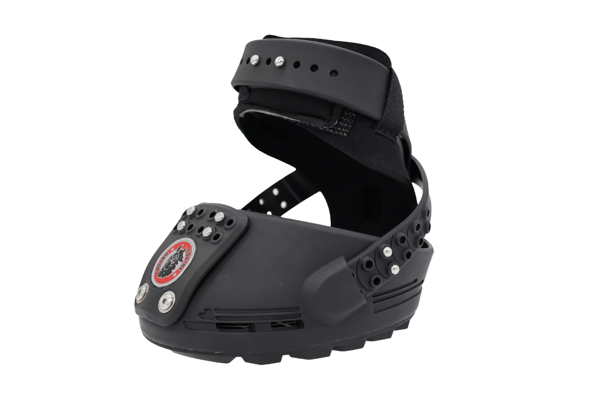 Trailblazer Jogging Shoe