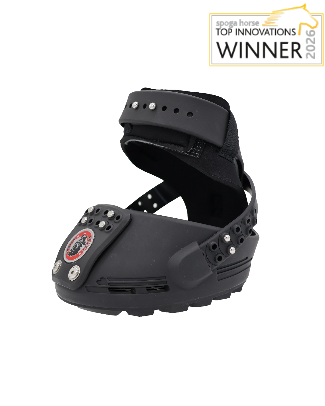 Trailblazer Jogging Shoe