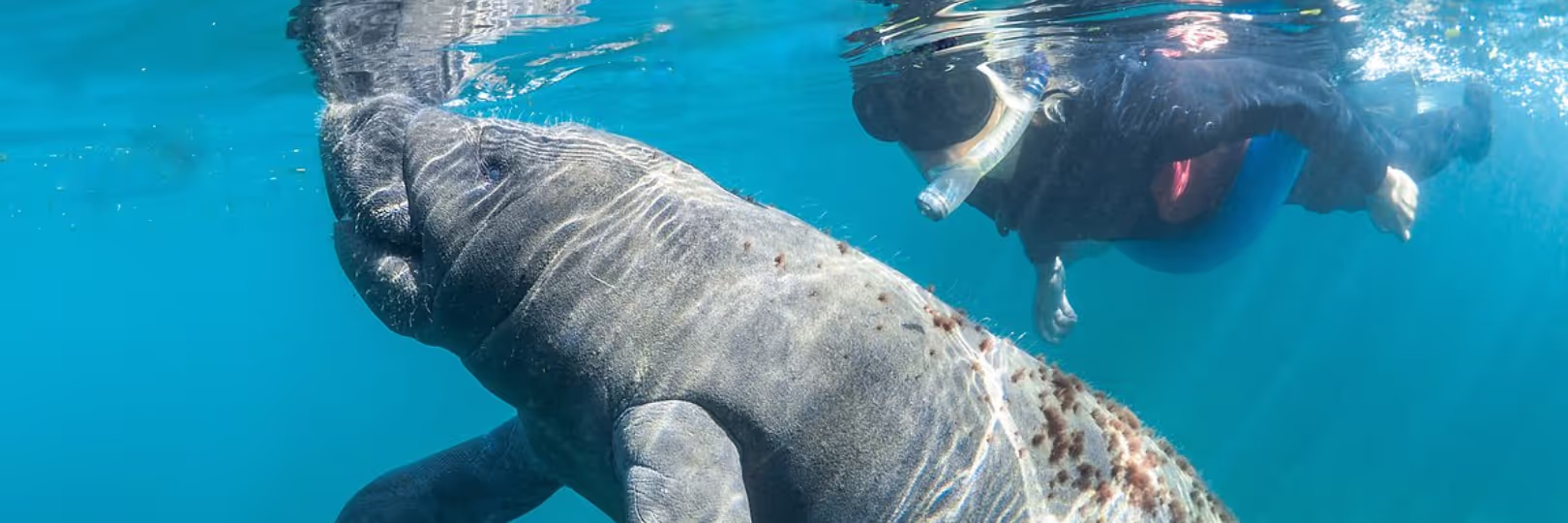 Global Memories, Local Success: Explorida's International Guest Experience Revolution