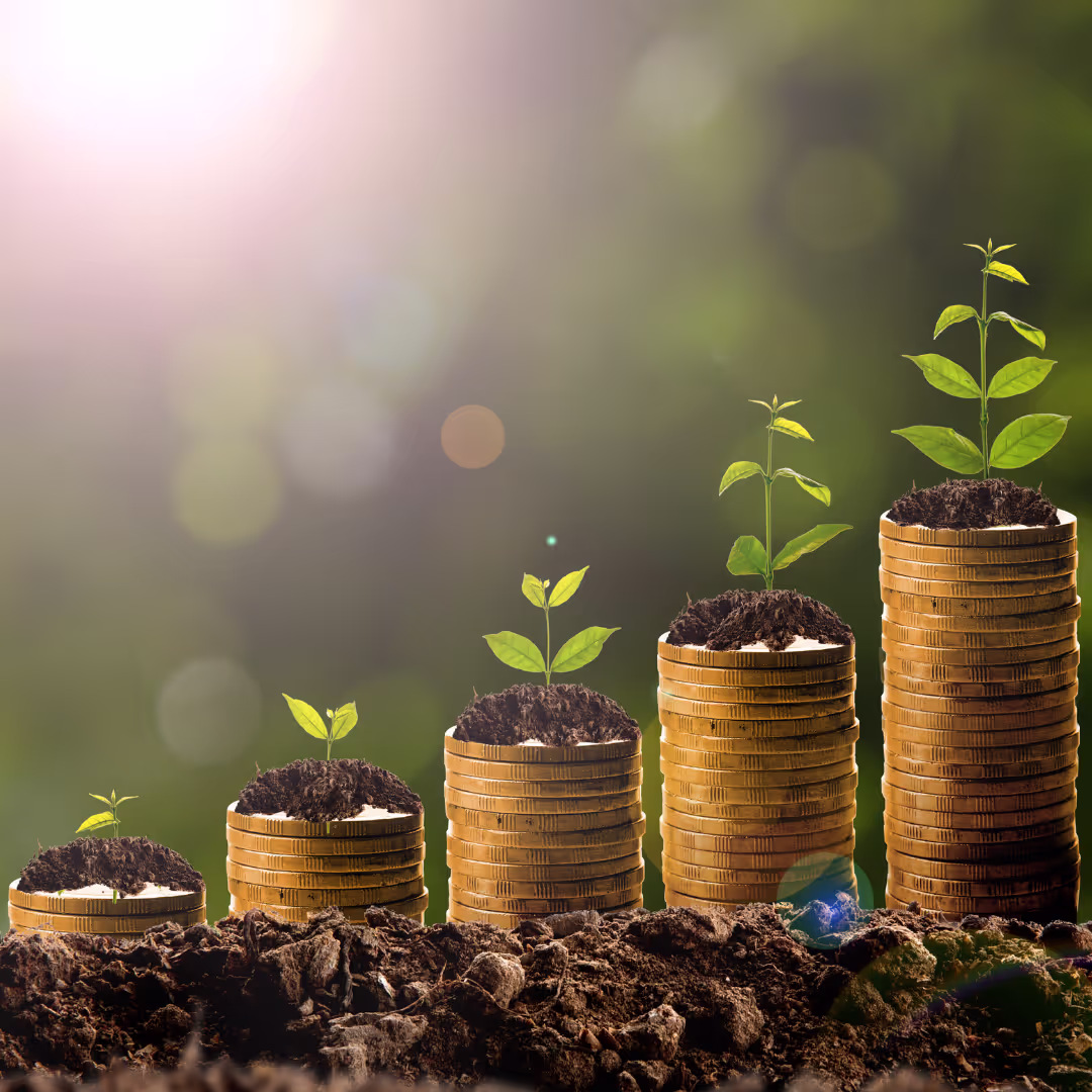 Increase Sales & Profit Margins