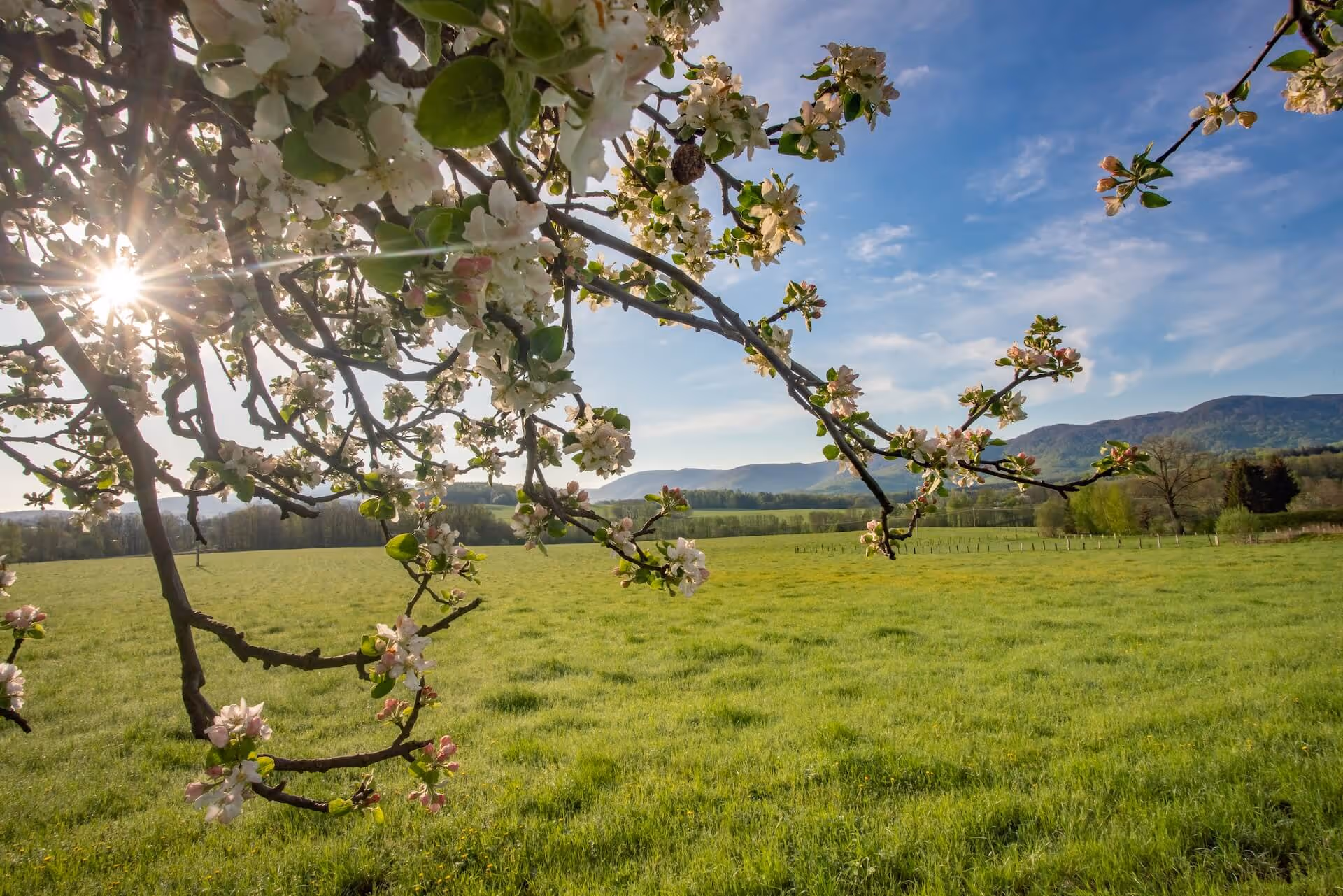 jizerky výhled na frýdlantské cimbuří