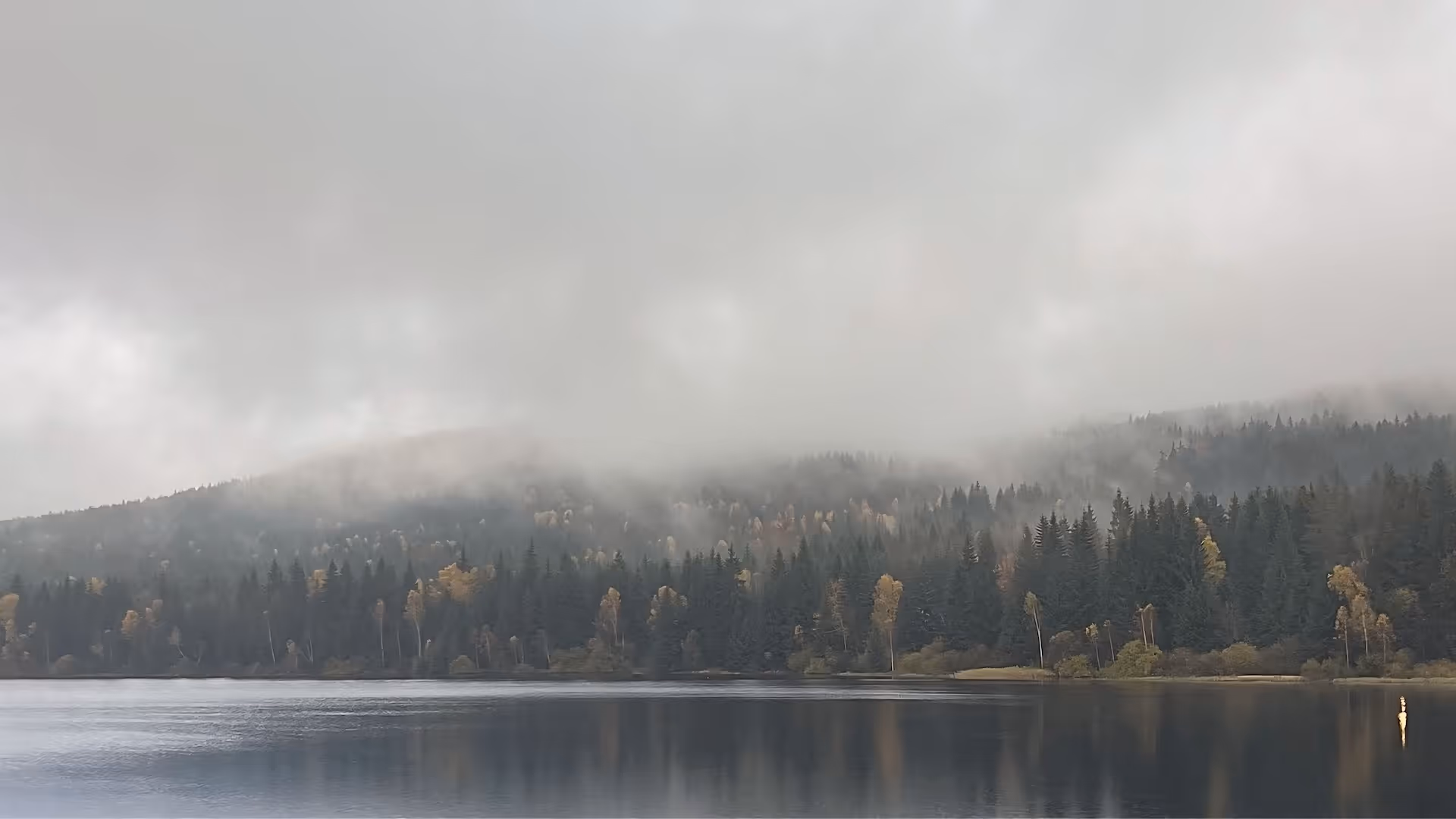 Uzavírka Smědavské silnice