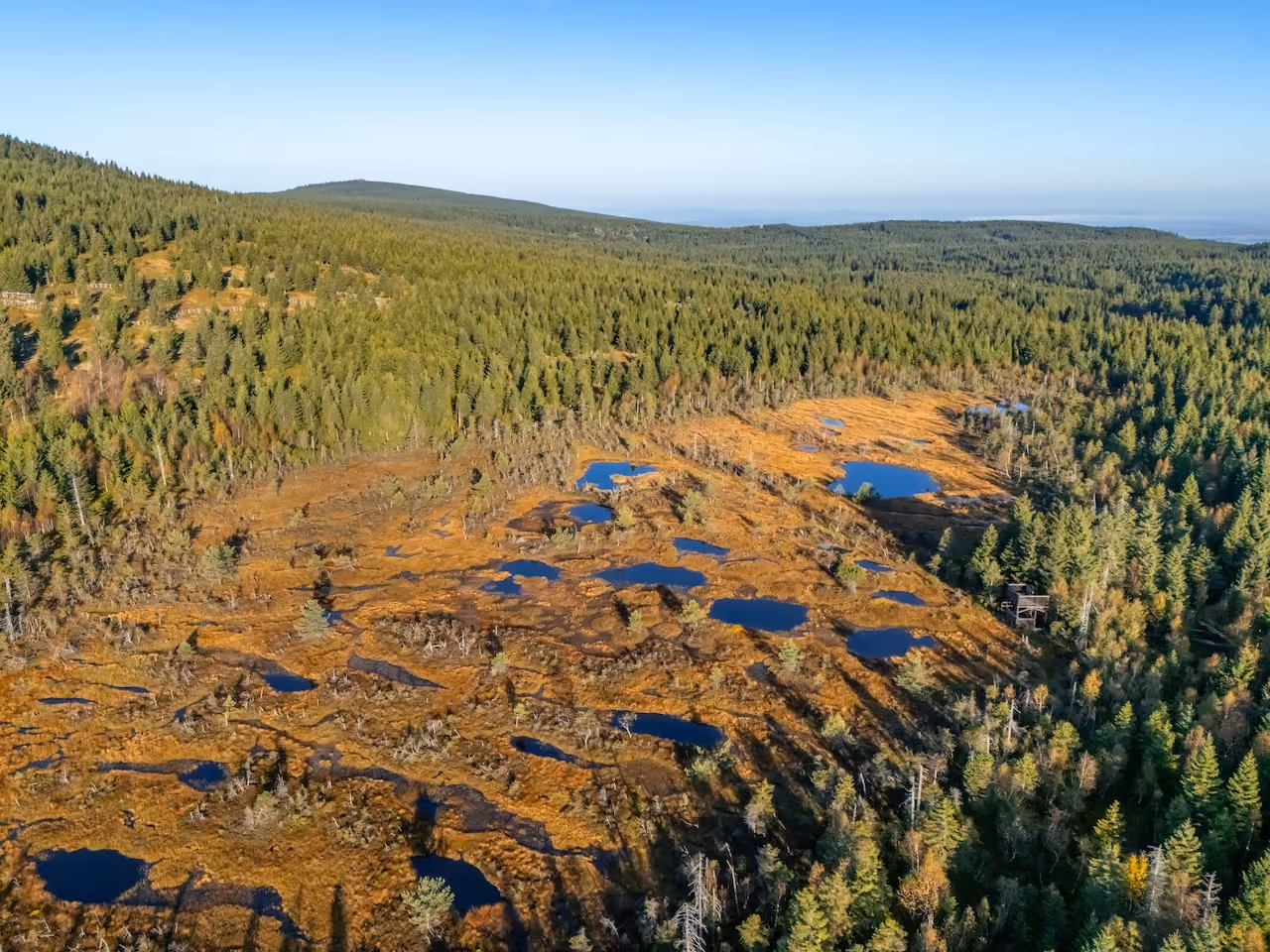 Torfmoor Na Čihadle