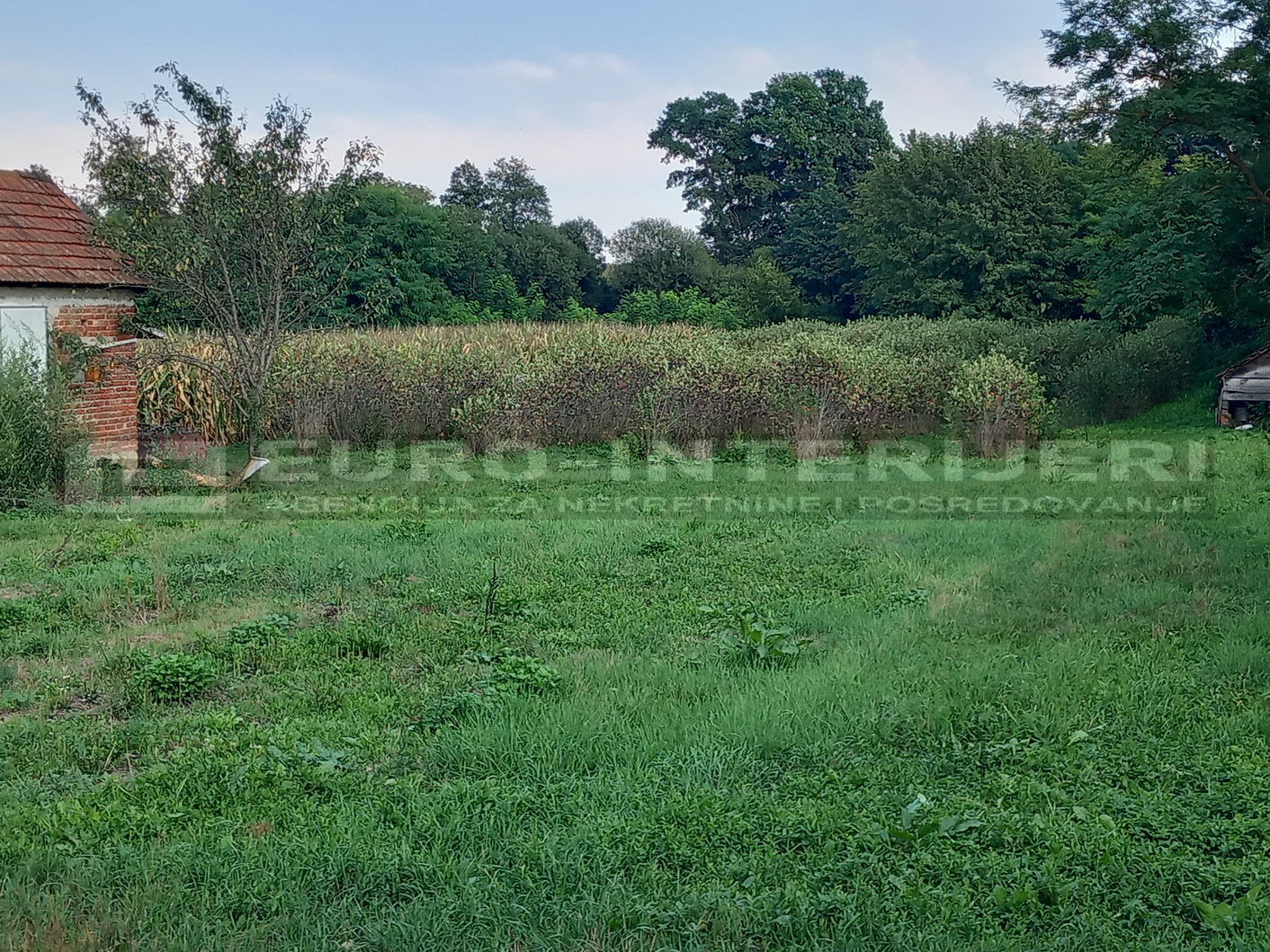 Kuća: Bjeliševac, ukupno 130 m2 stambene površine s 5.581 m2 okućnice