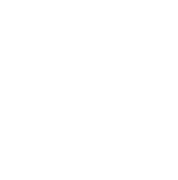 Mental Health Association of Nebraska logo