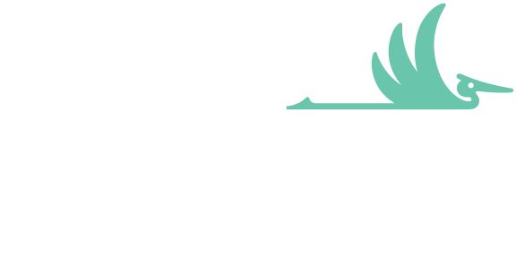 Heron Guided Healthcare