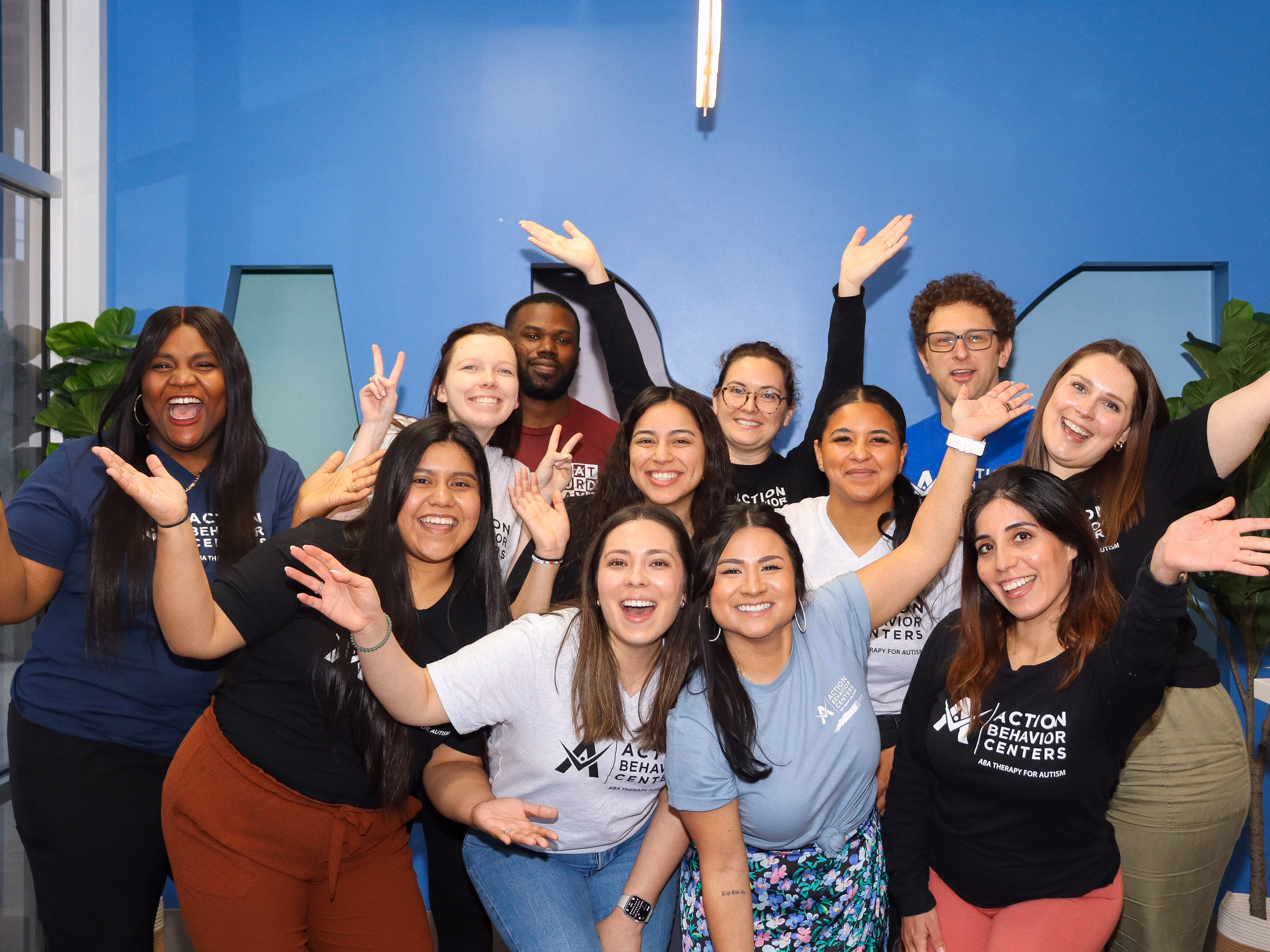 ABC Everest Program: Ascend to Your BCBA Career