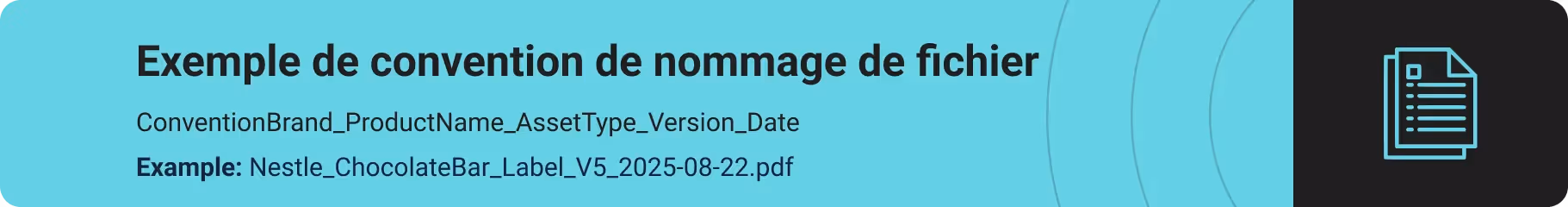 Un graphique illustrant une convention de nommage de fichiers. Il indique « Exemple de convention de nommage de fichiers ». L'arrière-plan est bleu clair et l'icône d'un document apparaît à droite.