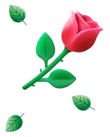 Rose flower image for BloomsyBox case study