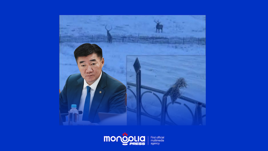 Буганаас болж торгуулж, зөвшөөрлөө цуцлуулсан компани С.Бямбацогтын дүү нарынх 