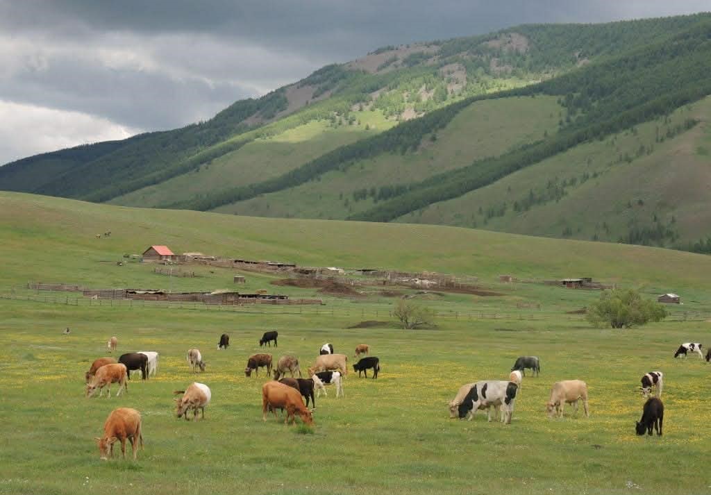Mongolia's Environment-Economy Nexus: Balancing Resource-Driven Growth with Ecological Sustainability