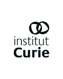 Institut Curie