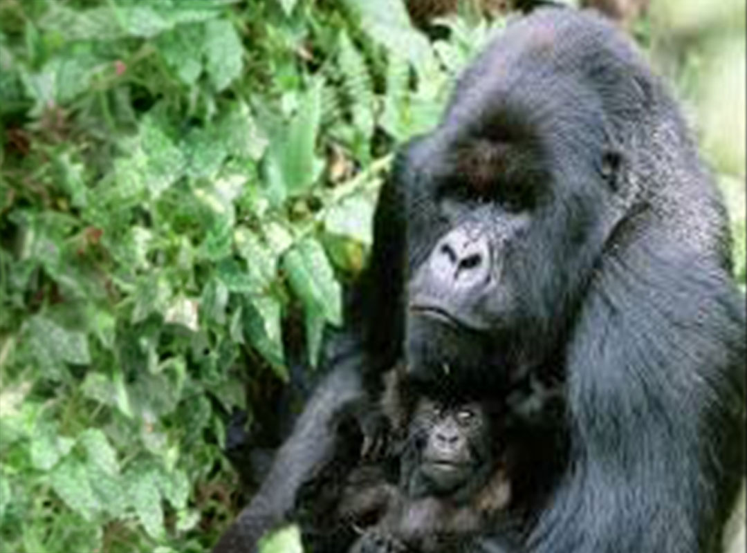 Blog Thumbnail
