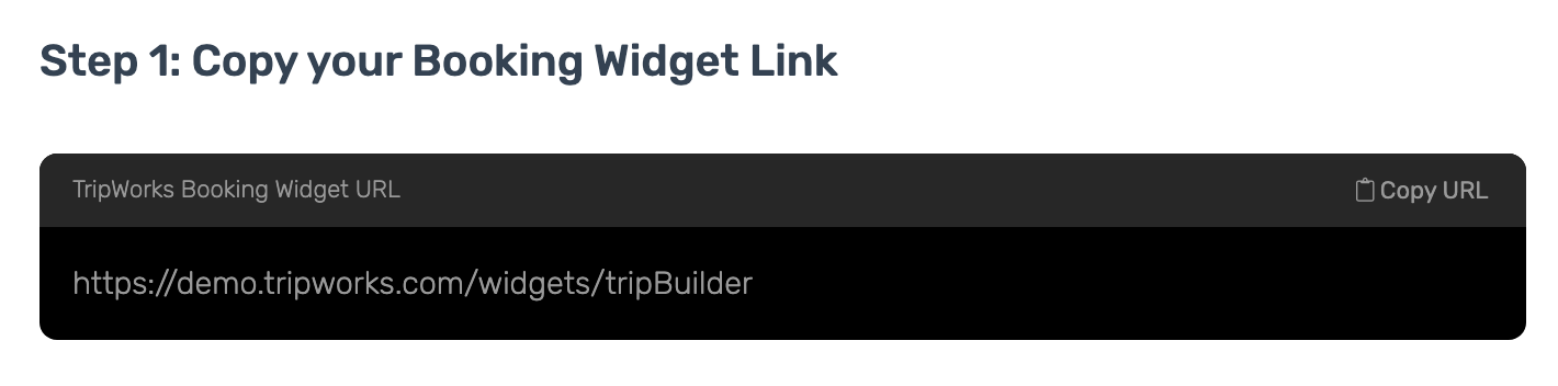 The TripWorks Booking Widget URL field on the Google Business integration screen