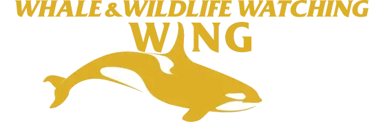 Eagle Wing Tours logo