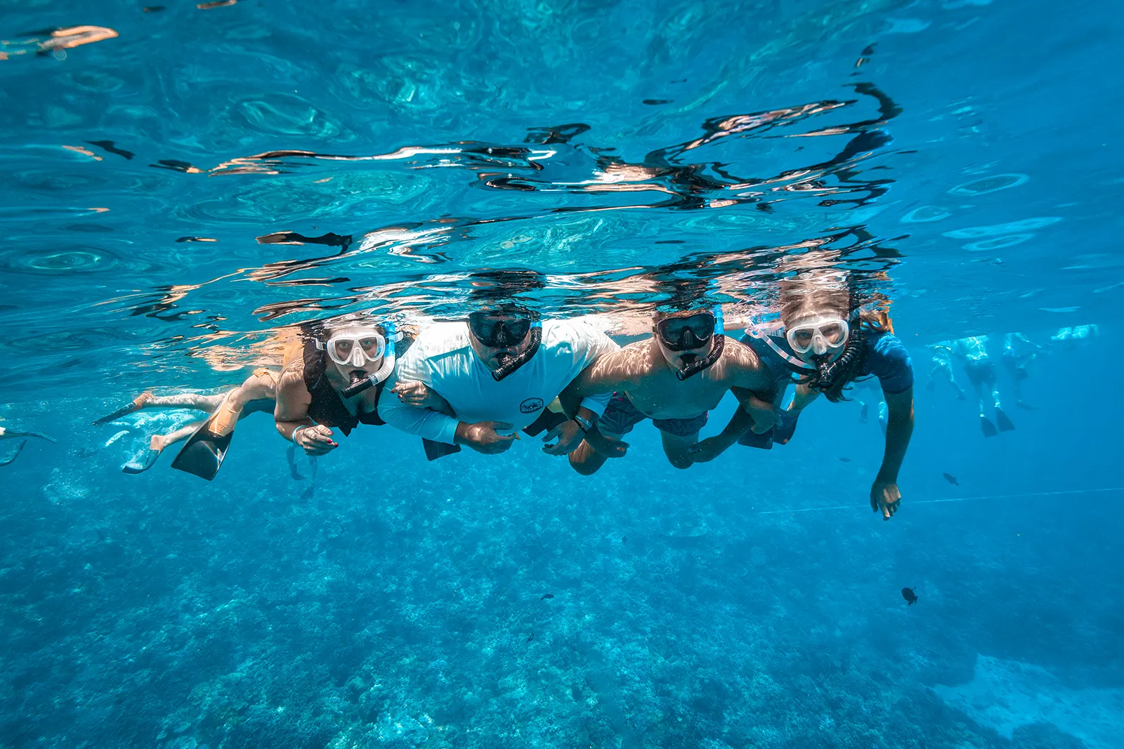 Four Maui Snorkeling guests swimming above a coral reef