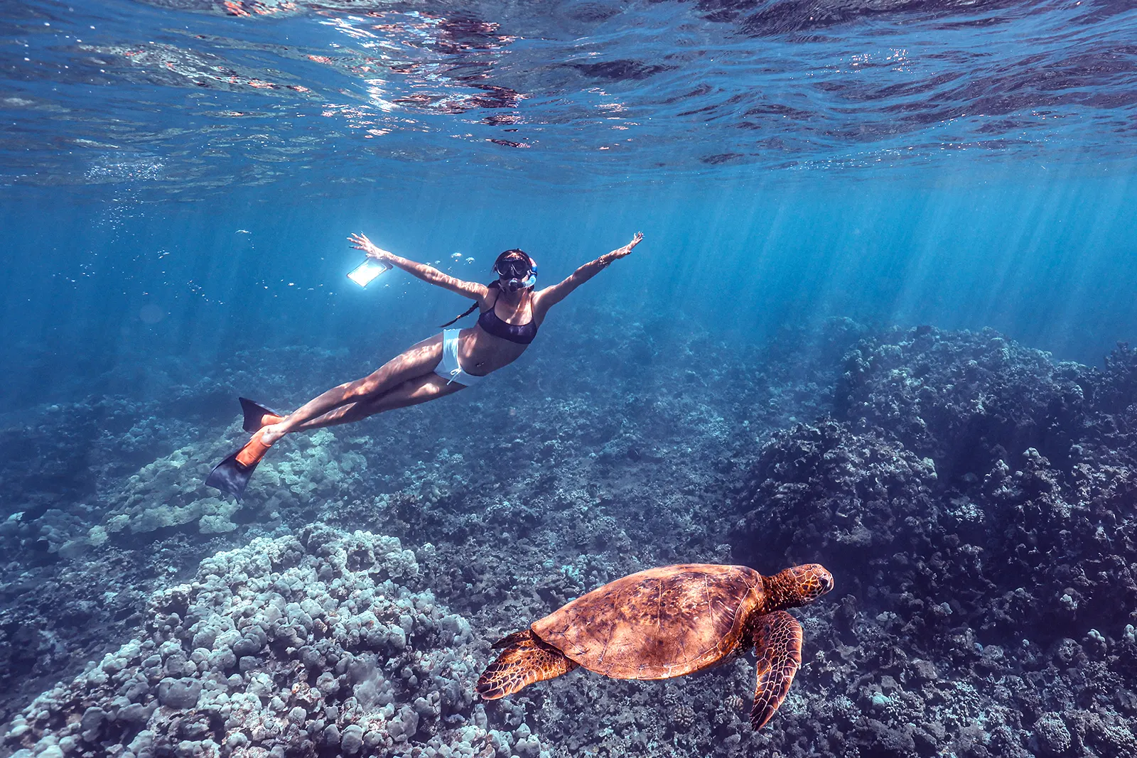 A snorkeler swimming above a coral reef near a sea turtle