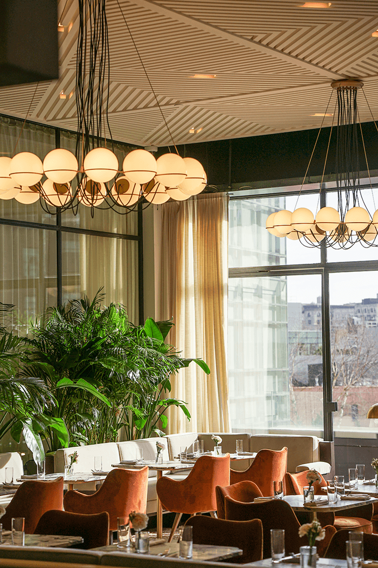 Indoor plant care in a private members club lounge in NYC