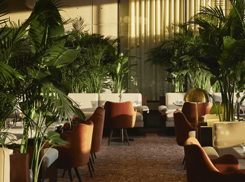 Lush interior plants framing a hospitality lounge in New York City