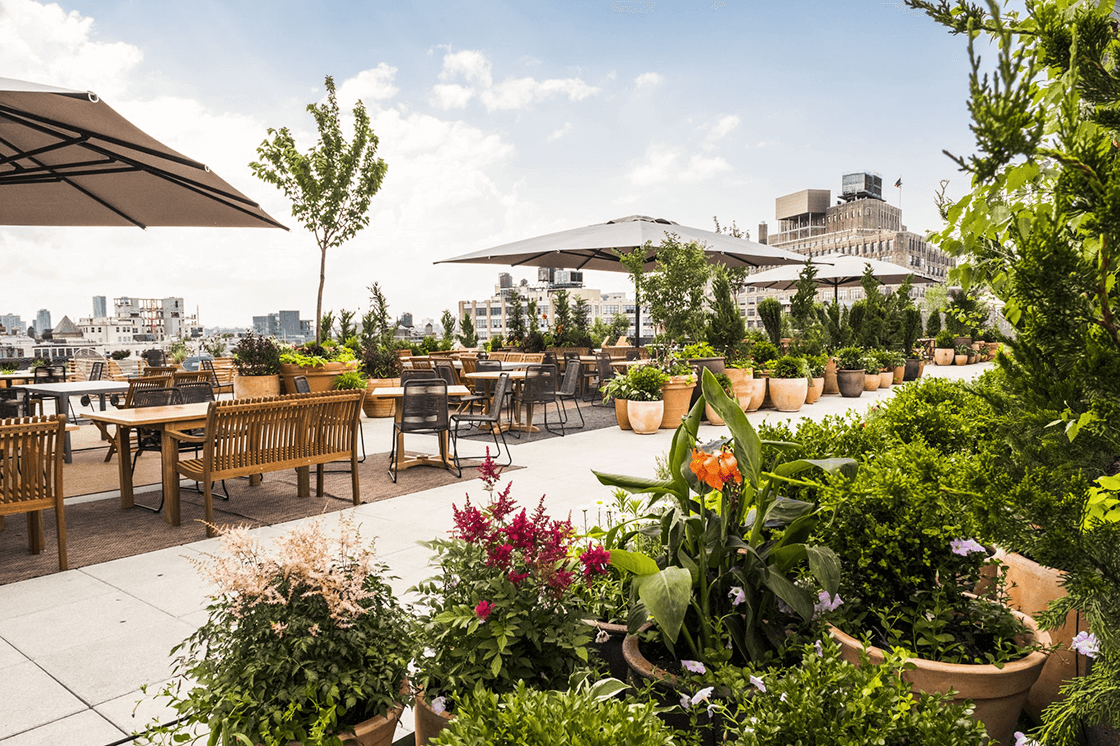 Outdoor plant maintenance for a private club rooftop lounge