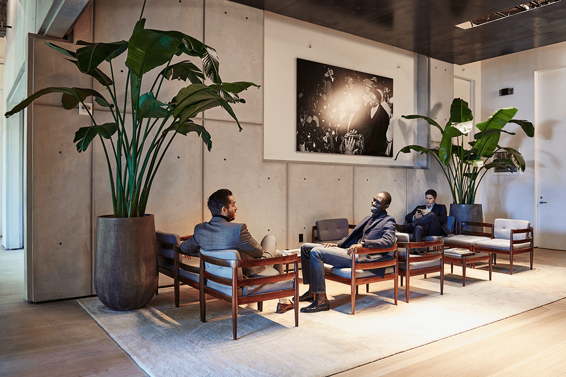 Indoor greenery supporting a refined hospitality experience at Spring Studios