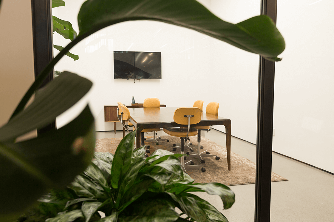 Commercial plant care services at Spring Place NYC