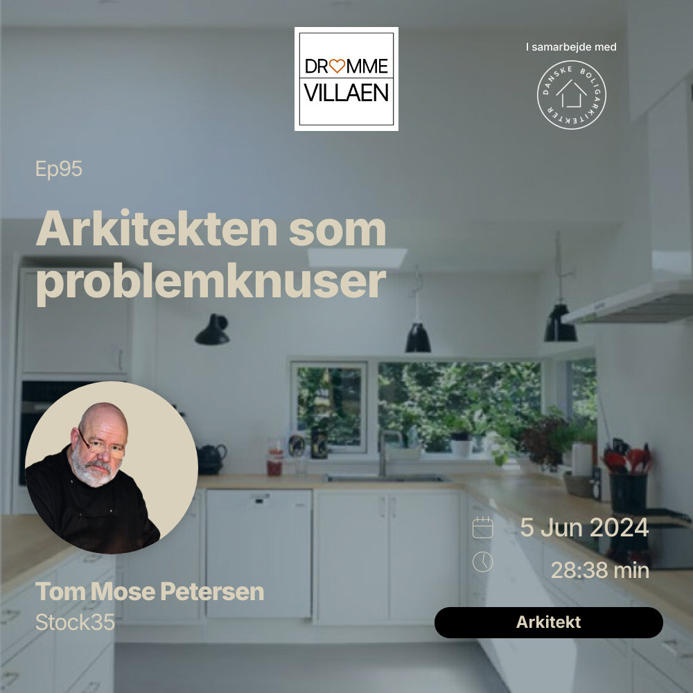 Arkitekten som problemknuser