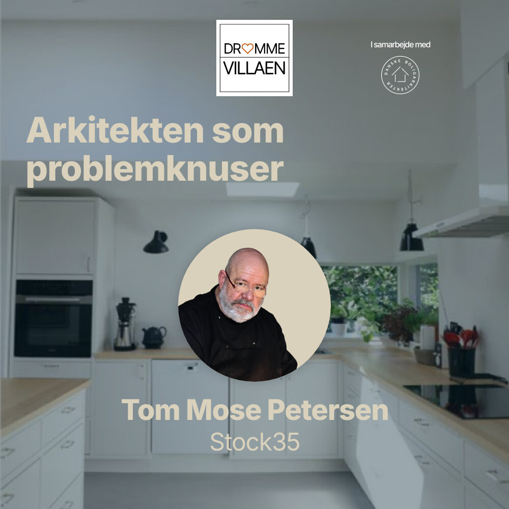 Arkitekten som problemknuser