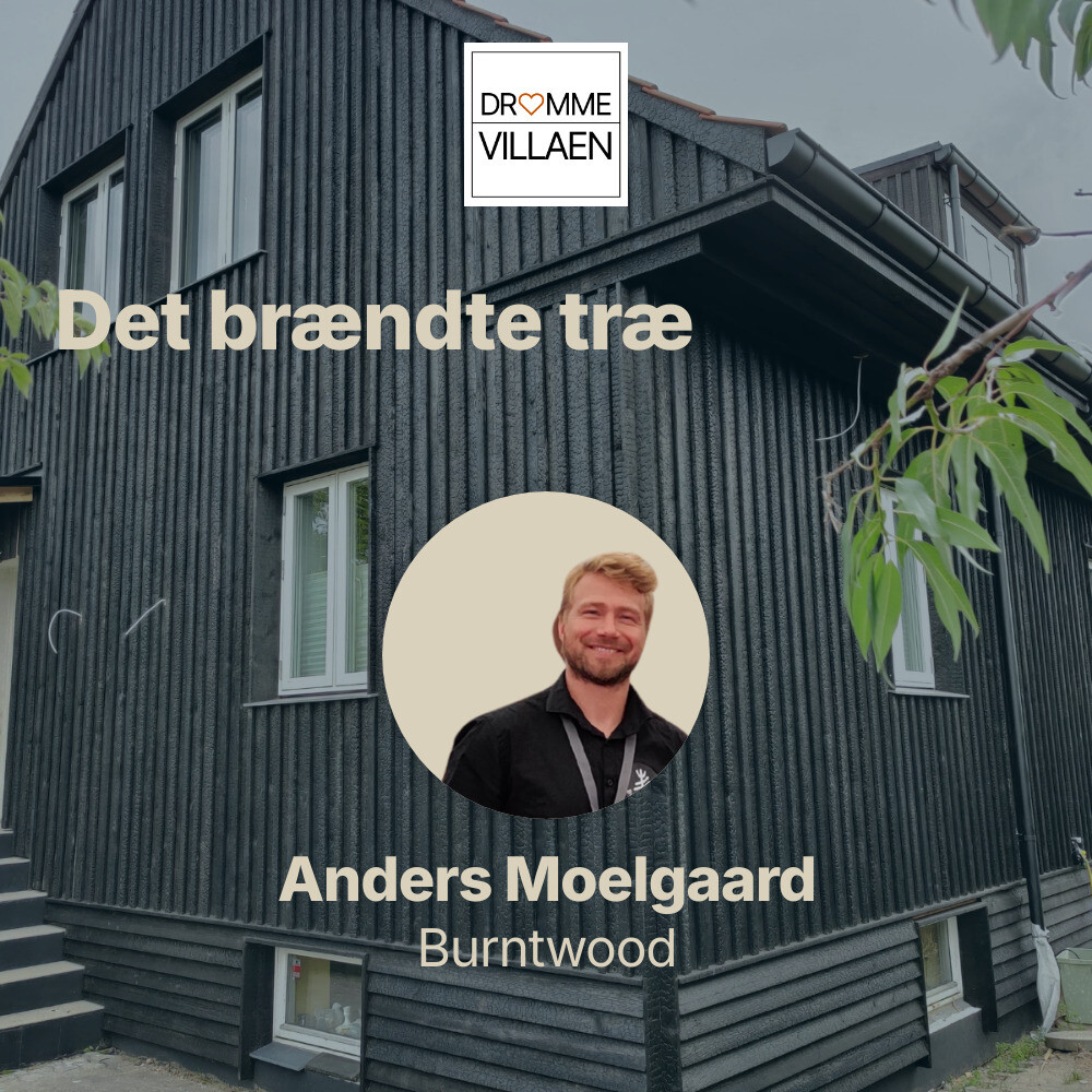 Det brændte træ
