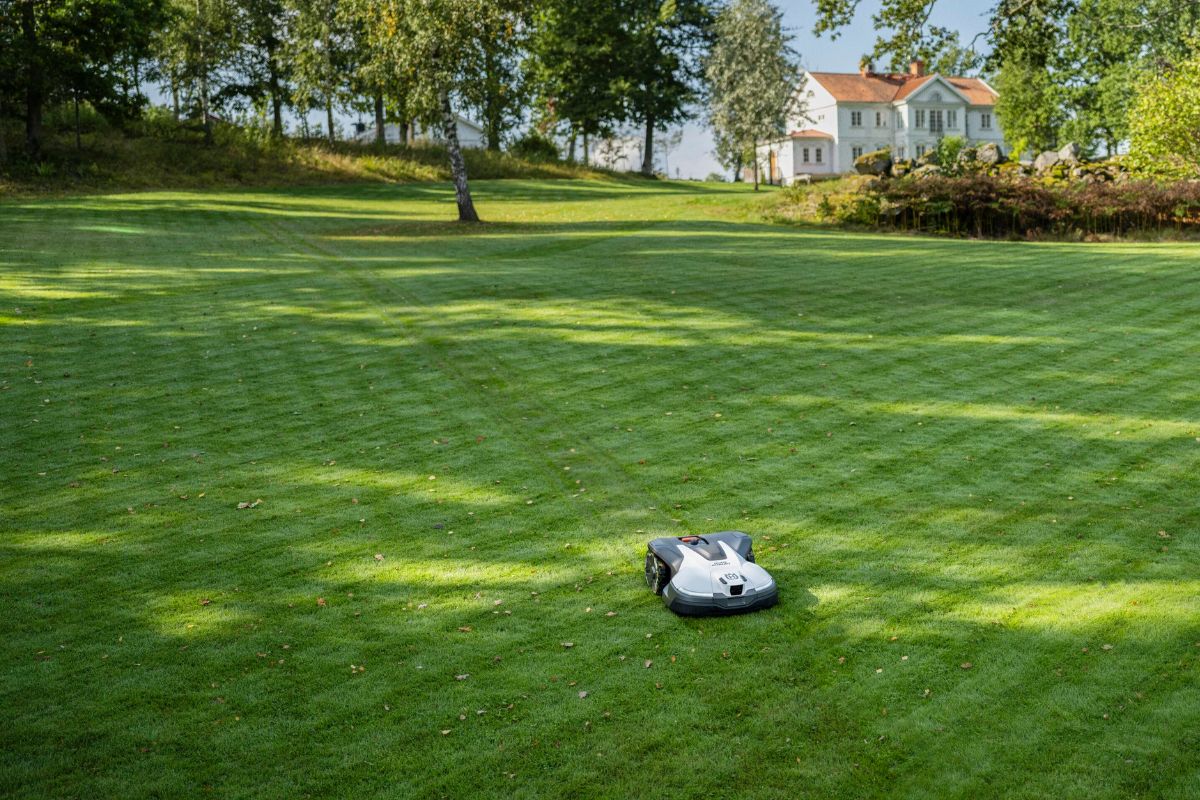 Robotplæneklipperen fungerer bedst når haven er tænkt rigtigt fra starten