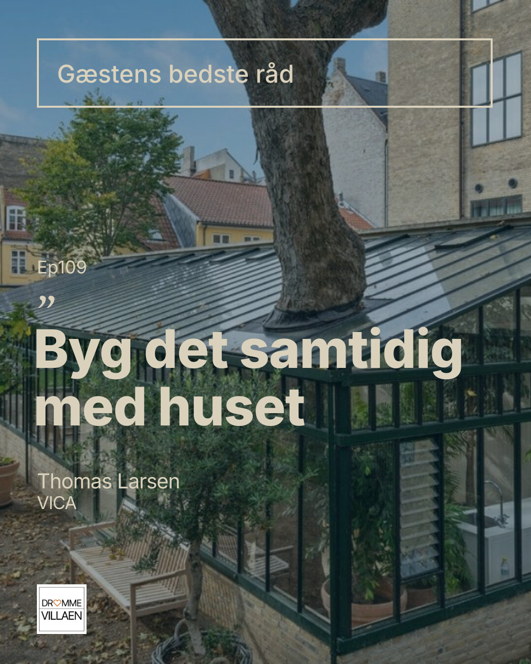 Drivhus med glastag, hvor et stort træ vokser gennem taget, i gårdmiljø mellem byhuse.