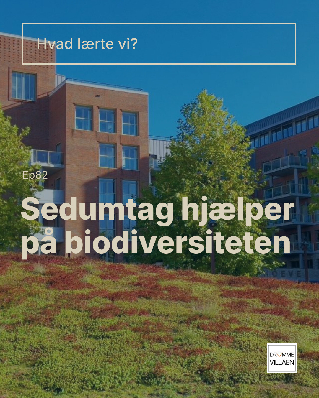 Sedumtag på bygning foran boligblokke. Tekst: “Hvad lærte vi? Sedumtag hjælper på biodiversiteten”.