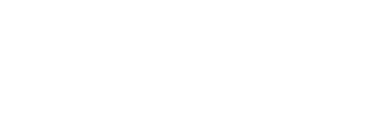 Liberty Networks 
