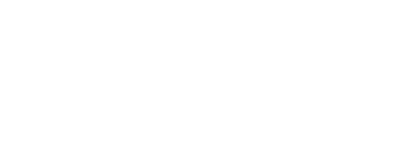 Transamericas Fiber System