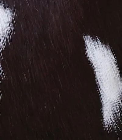 Hair-On-Hide Leather
