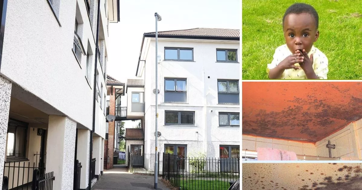 The Tragic Case of Awaab Ishak