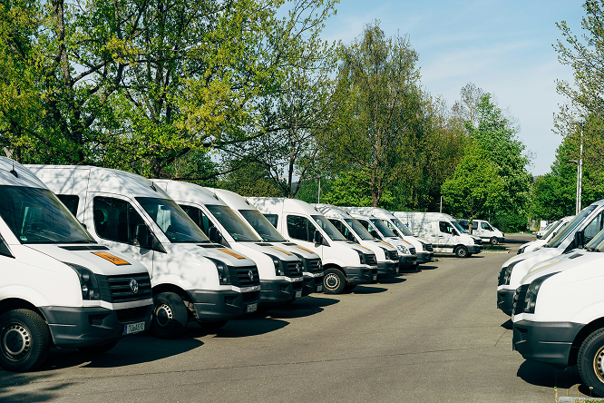 White delivery vans parked in a row on a tree-lined lot