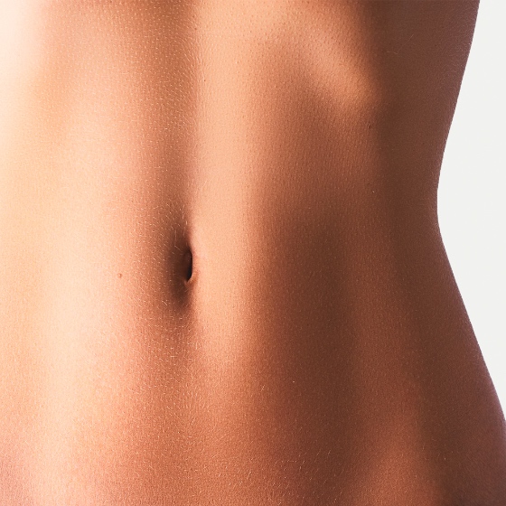 The full abdomen area