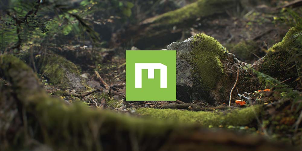 Quixel Megascans