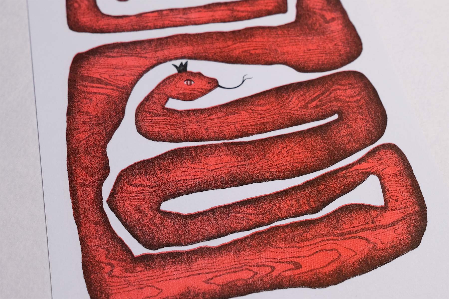 Zoom in of A6 risograph print of the snake