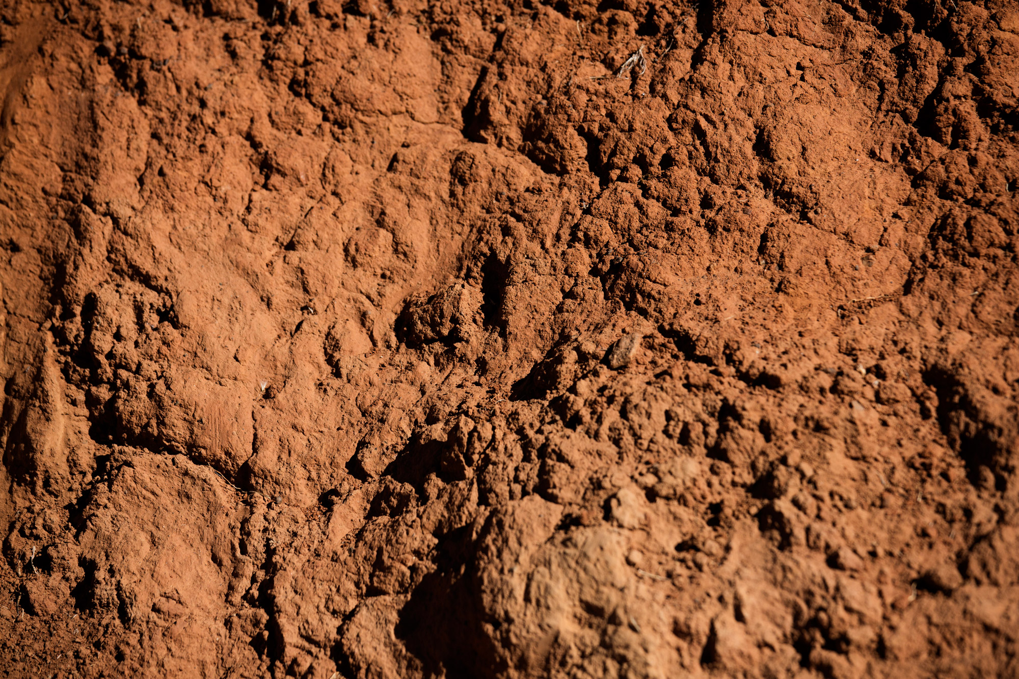 Volcanic basalt soils at Rowlee Wines estate, Nashdale, Orange NSW