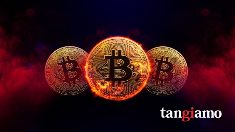 Tangiamo partners with K33 to launch forward-leaning Bitcoin Treasury strategy