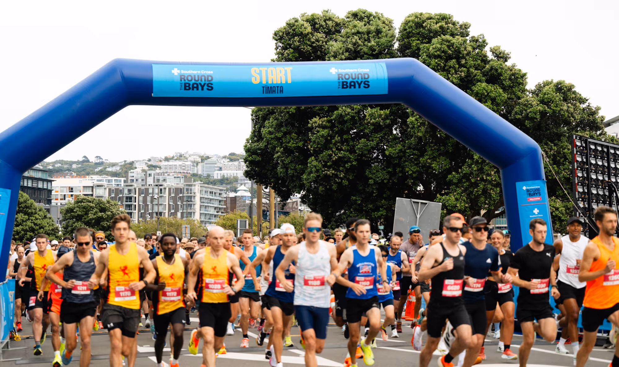 A large group of runners is gathered at the starting line of a race. The blue archway marking the "START" is prominently displayed. The scene is bustling with colorful attire and the road ahead is packed with participants. Trees and buildings are visible in the background.