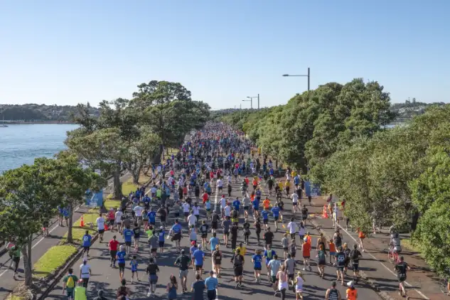 An overhead view of a large group of runners participating in a race on a sunny day. The race path is lined with trees, and a body of water can be seen on the left. The runners are dressed in various colorful athletic clothing.