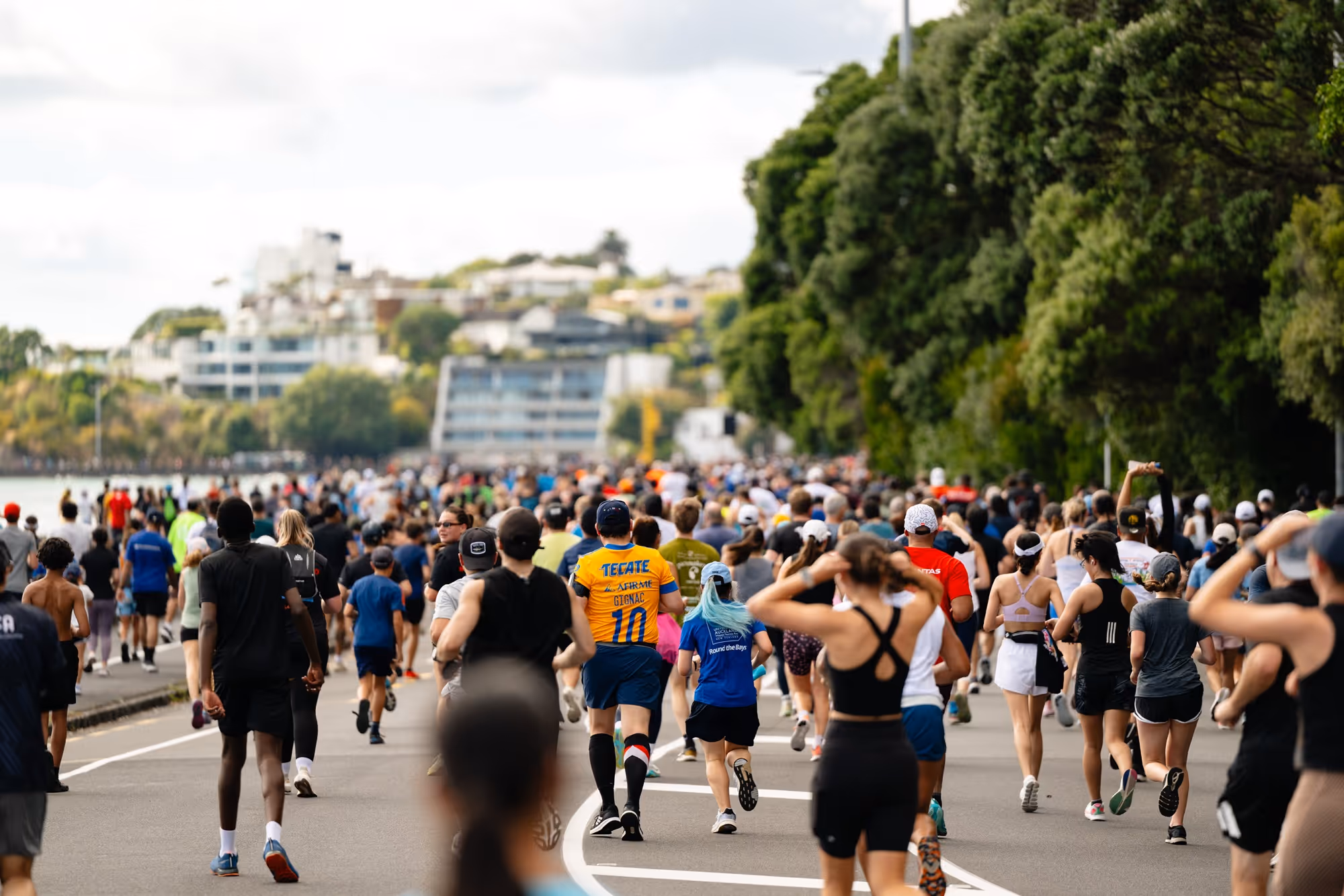 Large group of people running on a road beside a body of water and trees in an urban area.